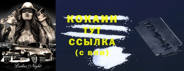 дживик Аркадак