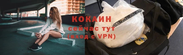дживик Аркадак
