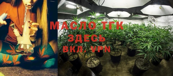 молекула духа Няндома