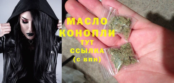 молекула духа Няндома