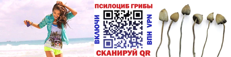 Псилоцибиновые грибы ЛСД  сколько стоит  Урюпинск 